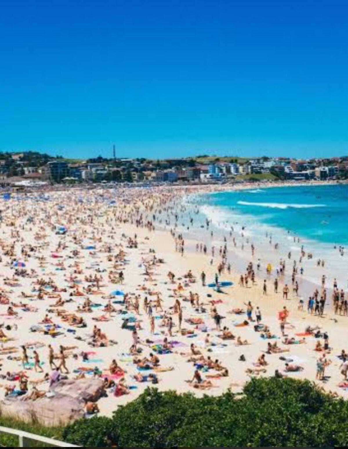 Bondi Apartment Sydney